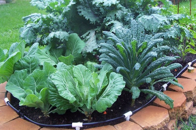 Great Gardens Start With The Best Quality Growing Medium