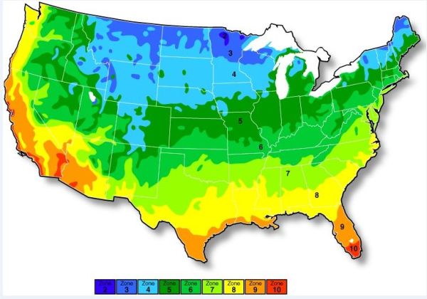 Hardiness Zone Map