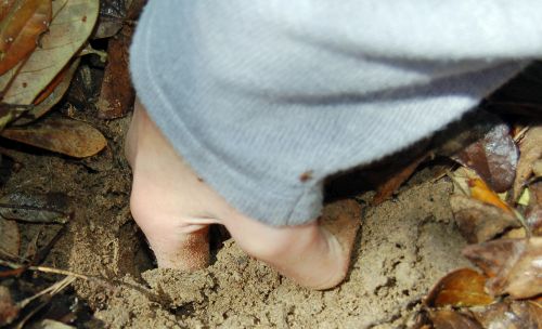 Soil Moisture Check